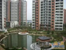 前排通透,采光很好,出门地铁,毛坯,满五省个税!