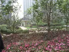 经开区 巨成龙湾三房150万