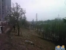 鲁能星城五街区,朝南看中四房蝴蝶户型,多余房产出售