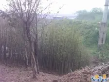 六街区大两房,交通方便, 户型方正 采光充足,近轻轨