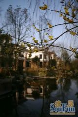 清溪玫瑰园 5室2厅 东南