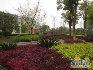 自带公园的小区,步步高商圈,6号线地铁口,环境好