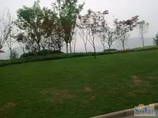 江枫美岸清水看江正三房,一线江景,视野无遮挡