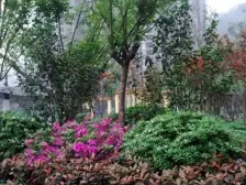 精装修高楼层一室一厅,沙滨路采光好,环境好!!