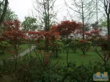 正规两房,户型方正,视野开阔,采光舒服