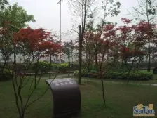 精装修三房,户型方正,1楼采光可以,拎包入住。