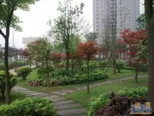 沙滨路 宝嘉江枫美岸二房82万