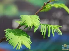 正规精装三房,户型方正,带车位