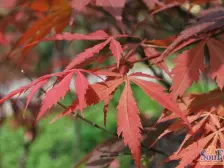 沙滨路 宝嘉江枫美岸三房120万