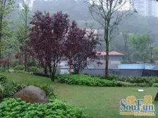 满五唯一,一线看江精装两房,实得面积多,诚售!