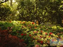 三峡广场 融汇国际温泉城A区(泉景)二房72万