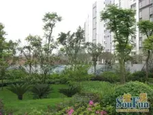 精装修 拧包入住 中间楼层 视线好小区排行优质