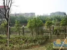 红谷凯旋 南北通透,采光好 装修好,环镜优美 近地铁 视野好,诚心出售