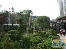 红谷凯旋 南北通透,采光好 装修好,环镜优美 近地铁 视野好,诚心出售