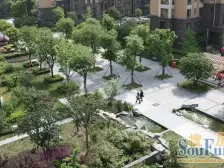 近森兰社区 南北通透 顶楼复式 诚心出售