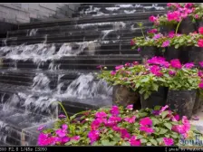 南坪单身聚居小区一米阳光精装1室一厅出售