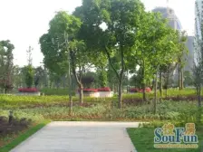 南北通透,户型好,三房朝南,两房朝北,光.线.视.野.非.常