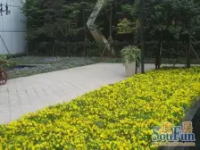 金科跃层3房加书房 精装修家电齐全 可拎包入住