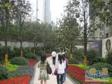 二郎 金科云湖天都三房115万