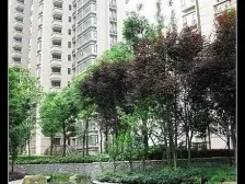 重庆天地,万科品质精装三房,保养好。住家安静