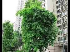 万科精装两房 朝南视野开阔 看公园 70年产权