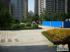 小龙坎 诺丁阳光四房