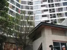 南坪单身聚居小区一米阳光精装1室一厅出售