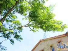 庆隆高尔夫国际社区叠滟岭二期洋房顶跃 带露台