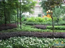 龙头寺 天江鼎城雅园四房220万