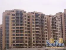 新加披水景+澳洲风景 二期08年 电梯直达车库 南北两房