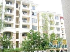 金丰蓝庭二期 电梯小洋房 ,厅南北通,满五年