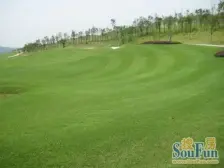 茶园新区,一线看湖,视野开阔,花园大