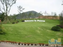 茶园新区 庆隆高尔夫柏翠庄四房550万