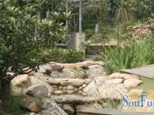 奥体旁,此房满五,西附可上,配套设施齐全