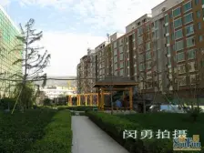 东部市场 两室一厅 装修好 拎包入住