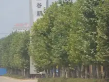 户型方正采光好楼层好,精装修,诚心出售