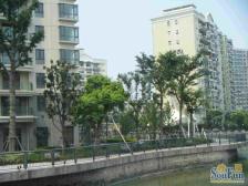 河滨国际公寓 2室1厅 南
