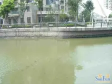 河滨国际公寓2室2厅1卫南朝向818.00万元/套出售