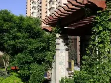 鸿运润园 181平电梯4室 高楼层 精装交付 中间位置