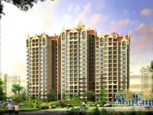 一室一厅 高层望花园 带装修 格局分明