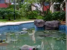 联华花园城地铁口方正大3房实用性强价格实惠