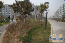 东方之珠多层1楼车库采光好楼层好交通便利