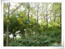 洋房社区 品质高 环境好 安静舒适 生活便利