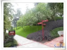 高新区 隆鑫花漾湖四房168万