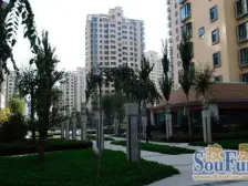 倚能黄河家园 5室3厅 南 北