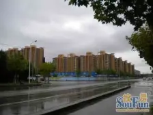 电梯房+可远眺东方明珠三件套+上下两层+有露台+税少