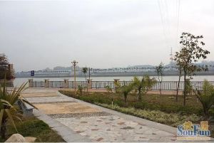 双拼别墅 有花园 有地下室 适合居家入驻