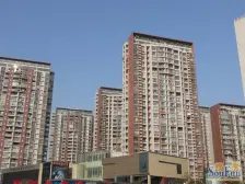 高区采光好,主打就是一个视野好,楼层好,位置好