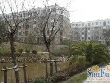 丰源淳和C区 南北通透,采光好 周边匹套完善,,出行方便