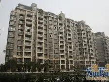 丰源淳和B区 南北通透,采光好 视野好,诚心出售